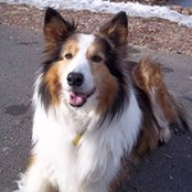 Bill Engel's photo