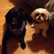Dani Heimerl's photo