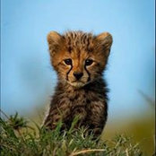 Julie Durrant's photo