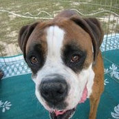 Laurie Edwards's photo