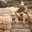 Cape Cod Stoneworks