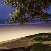 Tish Newman's photo