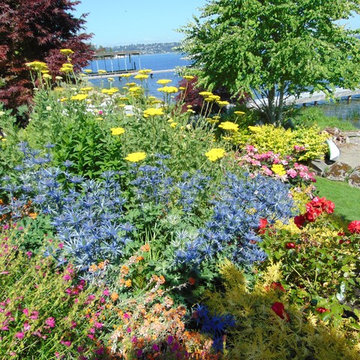 The Shay Garden