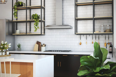 Trendy kitchen photo in Other