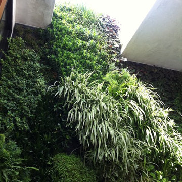 Front Entrance Living Wall