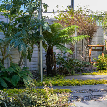 Modern Garden Design in North London