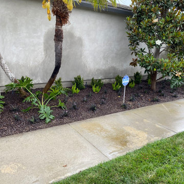 Our Work