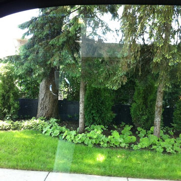 Living Wall Natural Screen