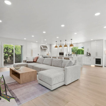 Modern Full House Remodel & Home Makeover
