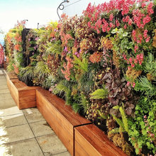 Landscape Ideas