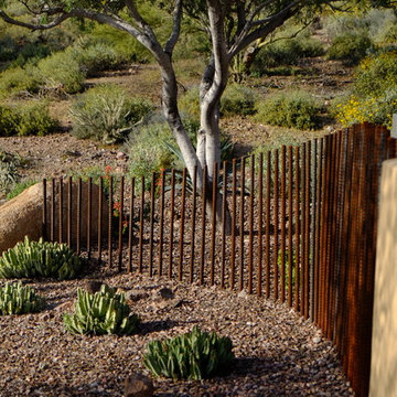 Gold Canyon