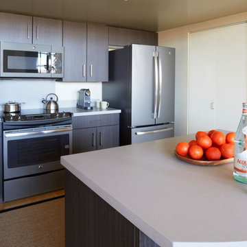 Contemporary Style Kitchen remodel