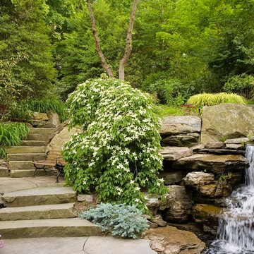 Rustic Koi Pond