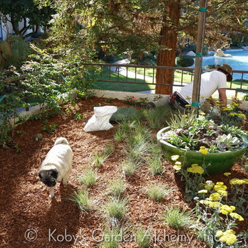(durring installation), Condo Garden, San Diego