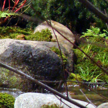Mountain Stream