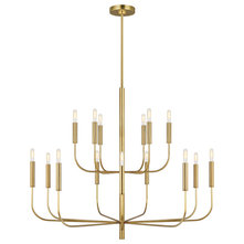 Transitional Chandeliers by Lightopia