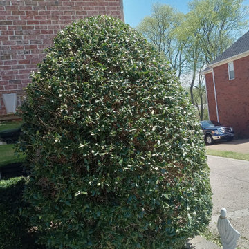 Our Work