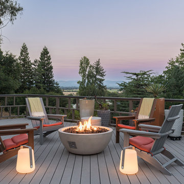 Mid Century Modern Re-model