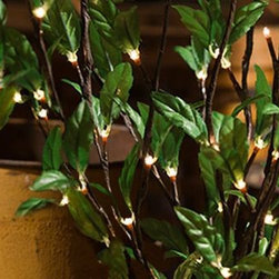 Lighting - Products