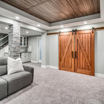 Aspen Basement Development