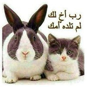 الحمد للهさんの写真