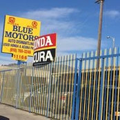 Blue Motors's photo