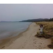 Richard Langley's photo