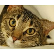 Judy Czarnecki's photo