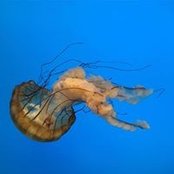 Julie Moore's photo