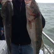 Frank Fico's photo