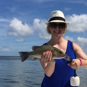 Christina Taylor-Haley's photo