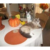 Jackie Allen's photo