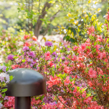 Outdoor Speakers