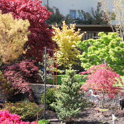 Amazing maples garden - Outdoor Products