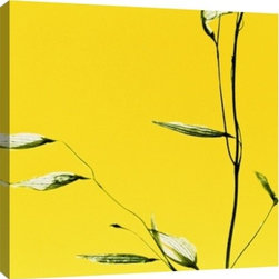 Gallery Direct - Harmonia IV - Artwork