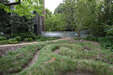Transitional garden in Other.
