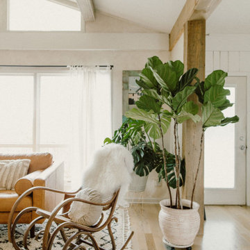 Serene & Warm Open Plan Living