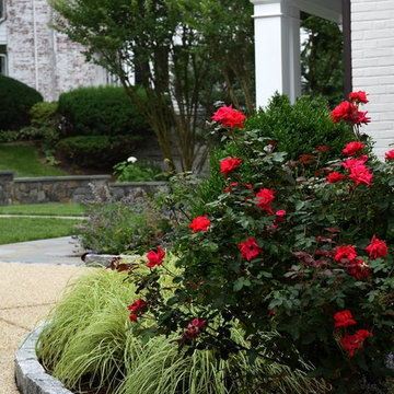 Grand Prize Winning Landscape