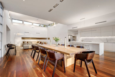 Contemporary open plan dining in Melbourne with white walls.