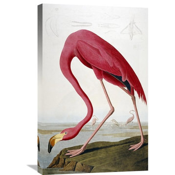 "American Flamingo" Artwork, 19.7" x 30"