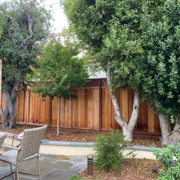 Sunnyvale Low Water & Dog Safe Garden