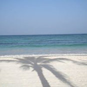 Robin Dillon's photo