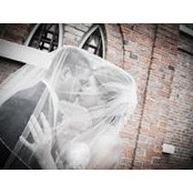 Tristan Balint's photo