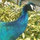 katrina_fairley