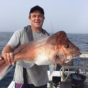 Robert Ralston's photo