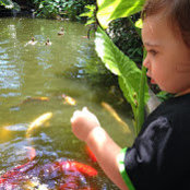 sonia schechter's photo