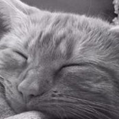 Emily Farris's photo