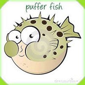 Patti Puffer's photo