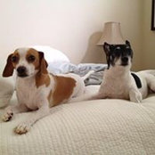 Donna Aviguetero's photo