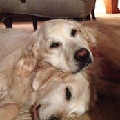 Sue Baker's photo